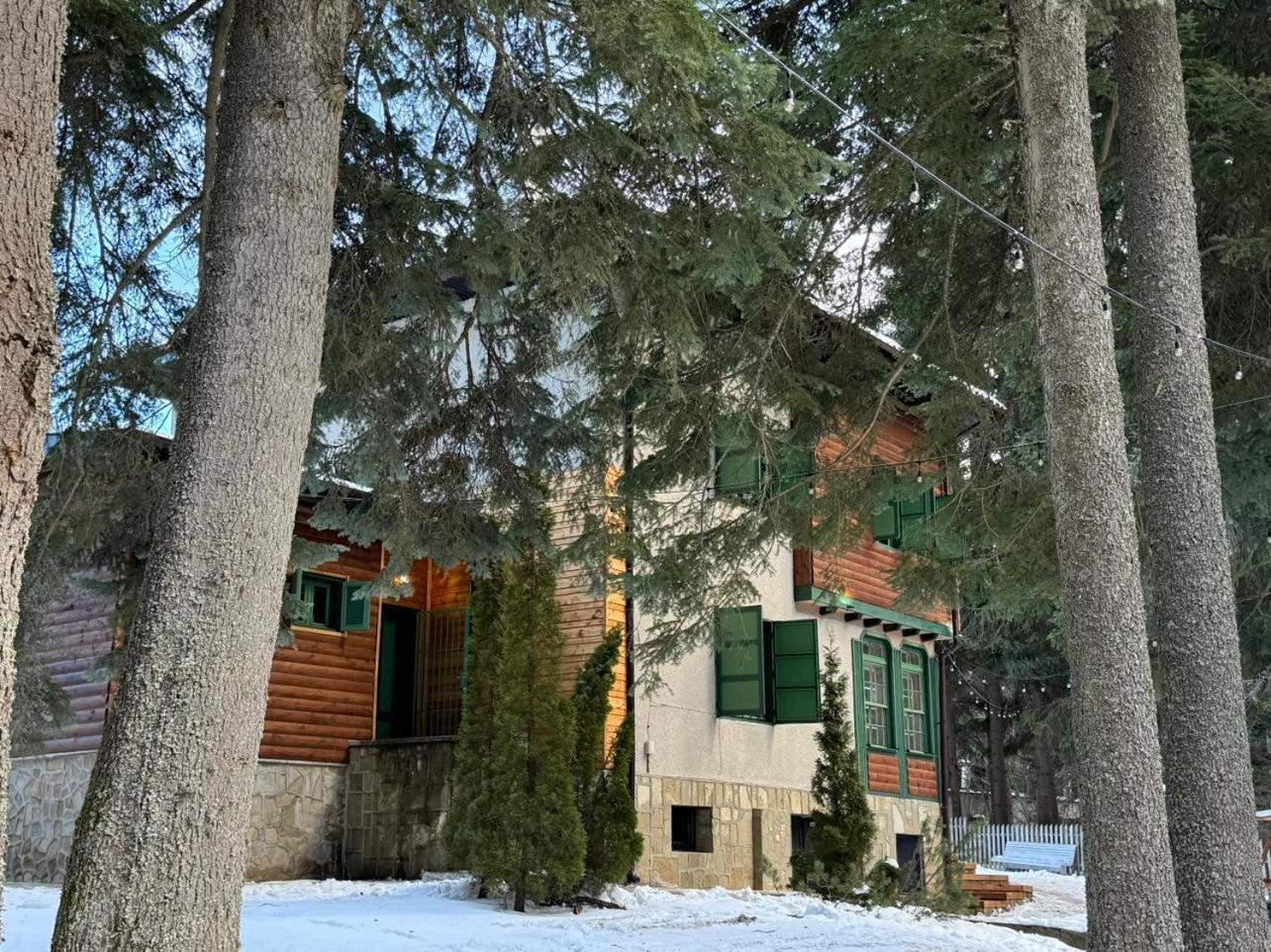 Villa Adis With Hot Pool & Jacuzzi By Bookvillabg Borovets Exteriör bild